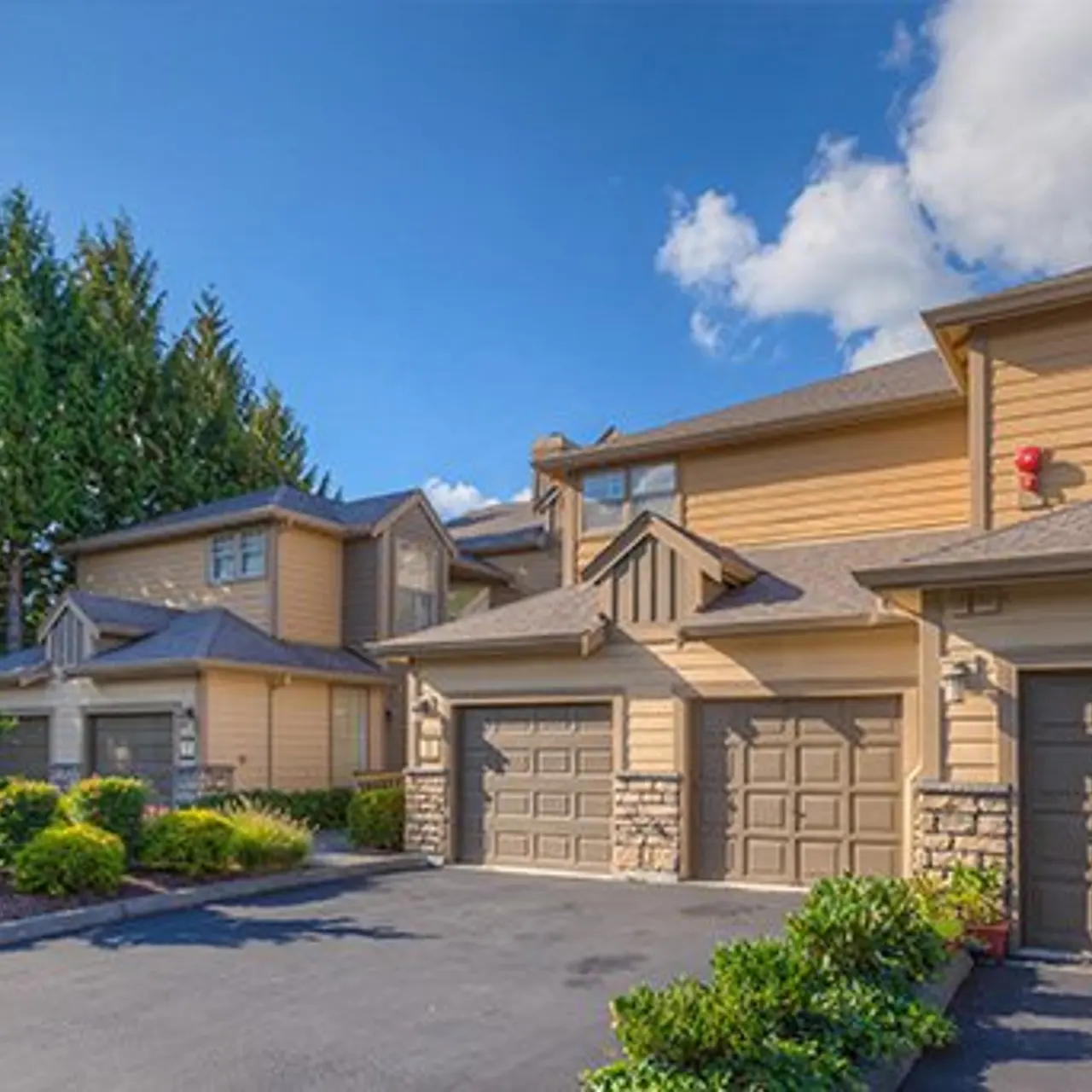 Summerwalk at Klahanie - Bush, Plant