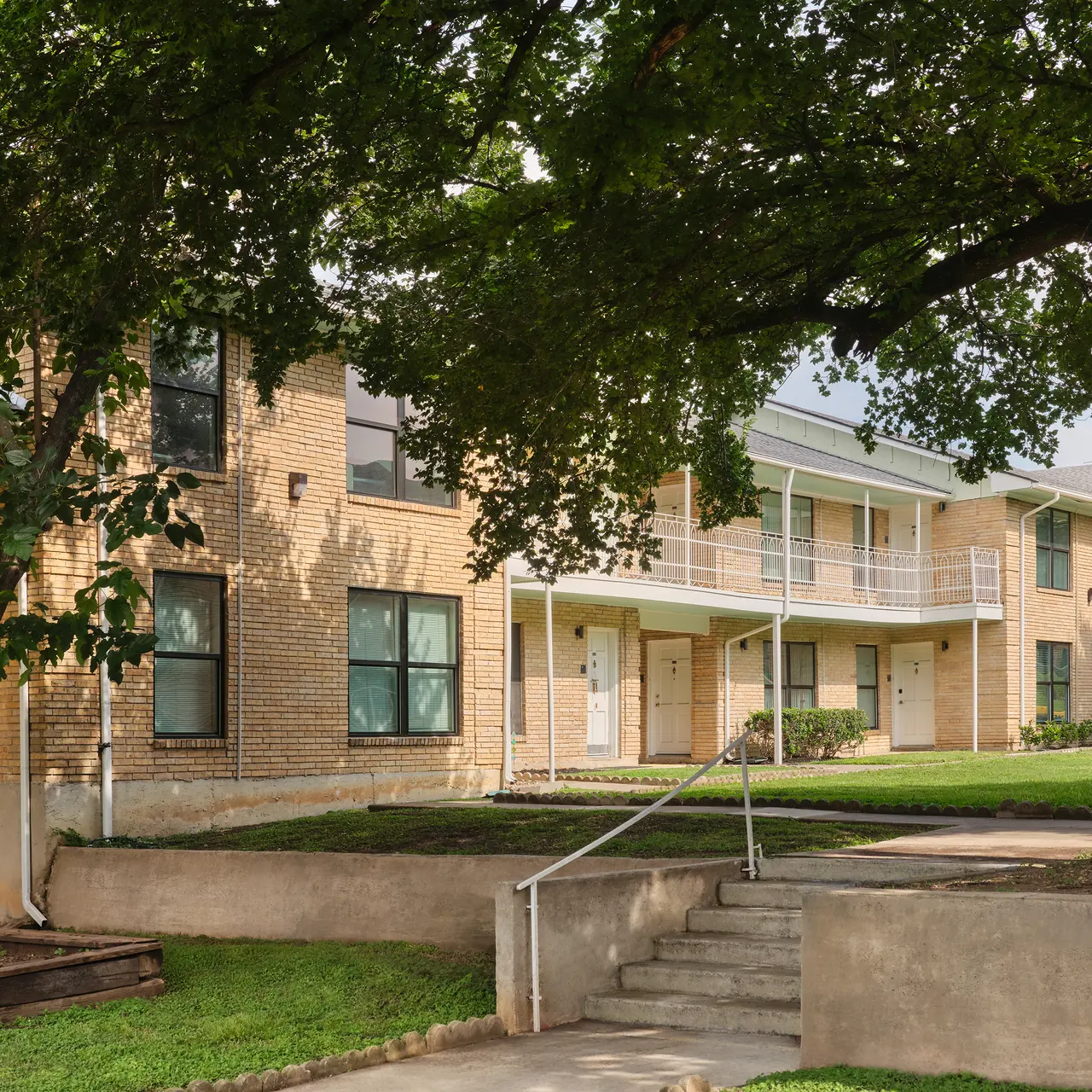 Tara - Tree, Grass, Plant