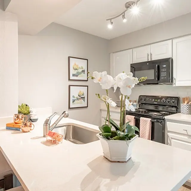 Grove at Northwest Hills - Kitchen Area