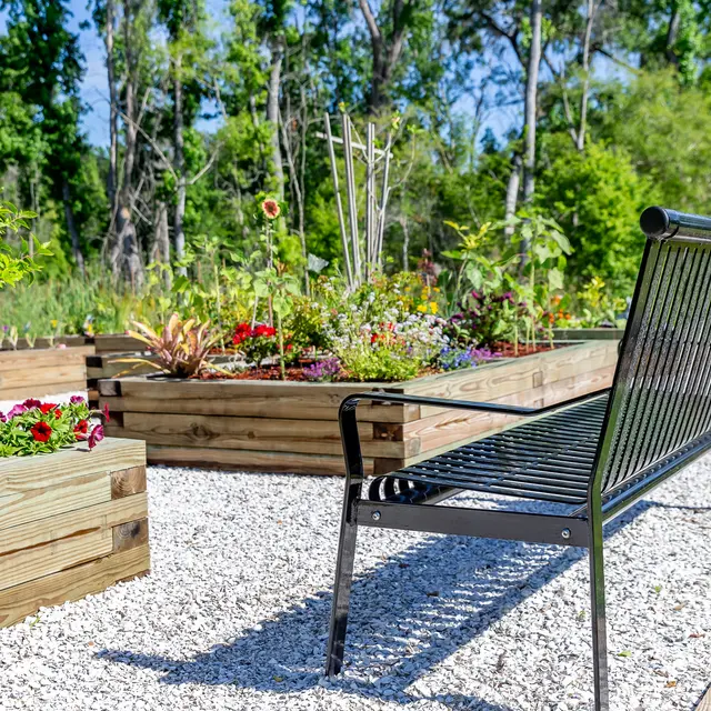 Rochester Park - Backyard, Nature, Outdoors