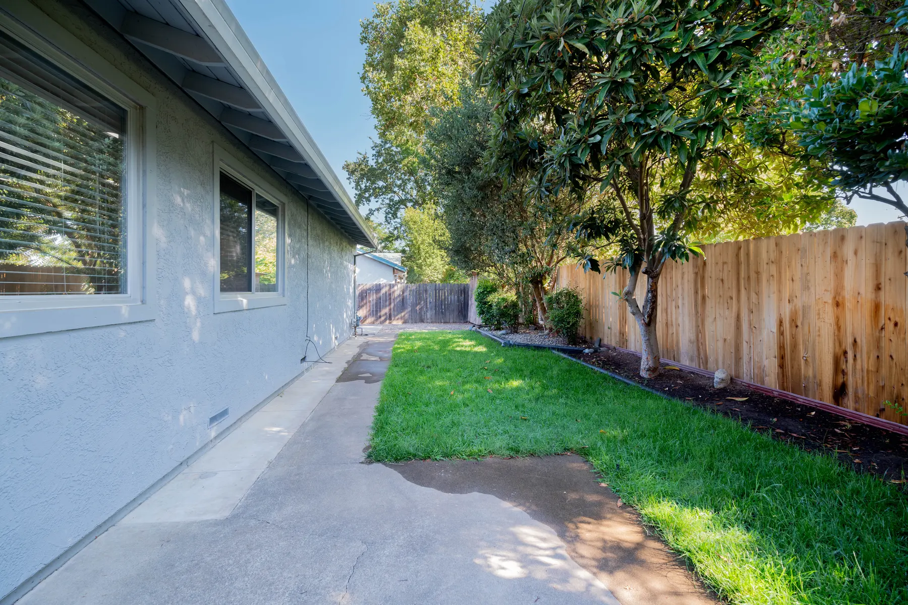 El Camino Duplexes - Backyard, Nature, Outdoors