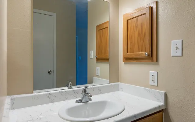 Park at Walkers Landing - Sink, Sink Faucet, Basin