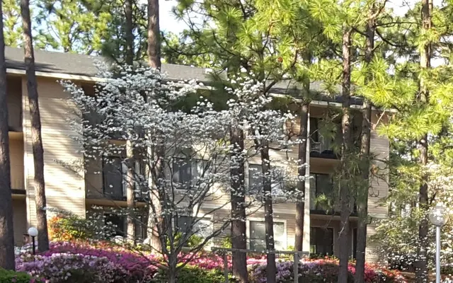 Lake Claire Apartments - Building