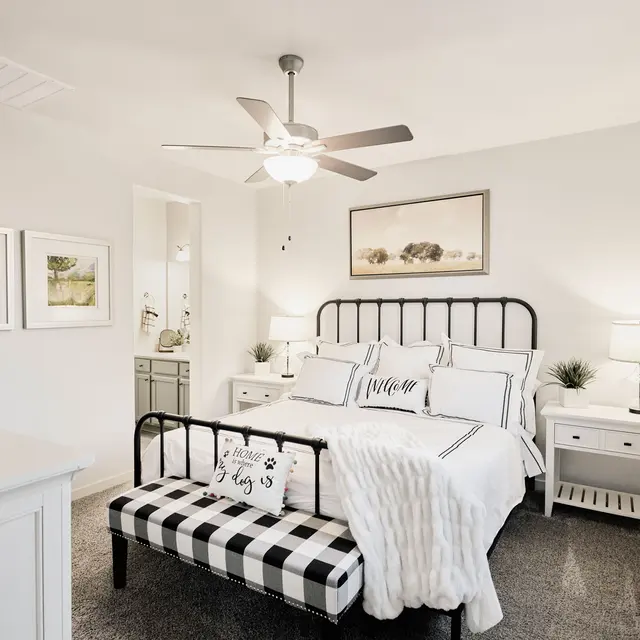 Home Decor, Appliance, Ceiling Fan