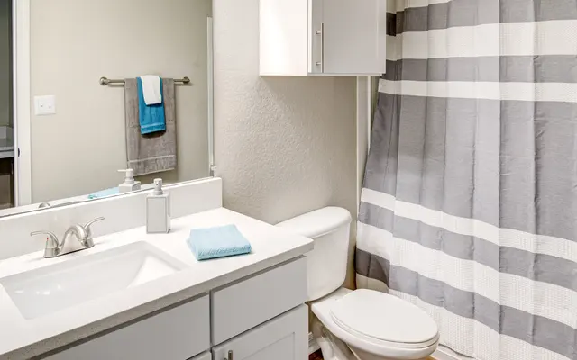 Preserve at Lakeland Hills Preserve at Lakeland Hills - Sink, Sink Faucet