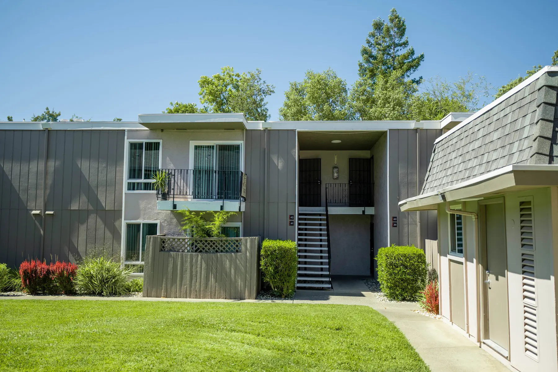 Creekside Oaks - Grass, Backyard, Outdoors