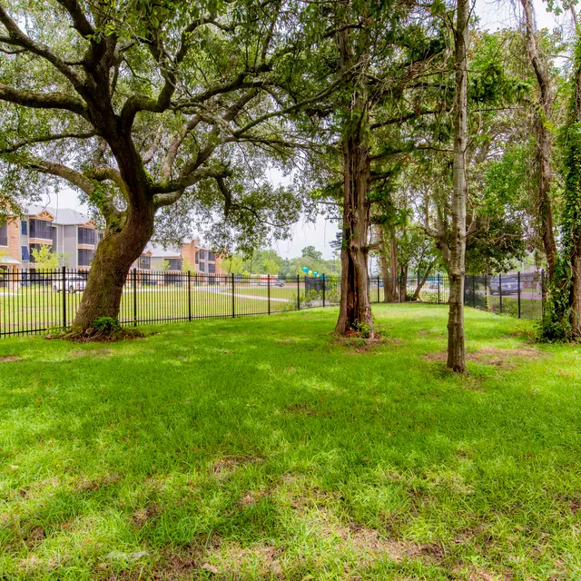 Belforest Apartments - Lawn, Park