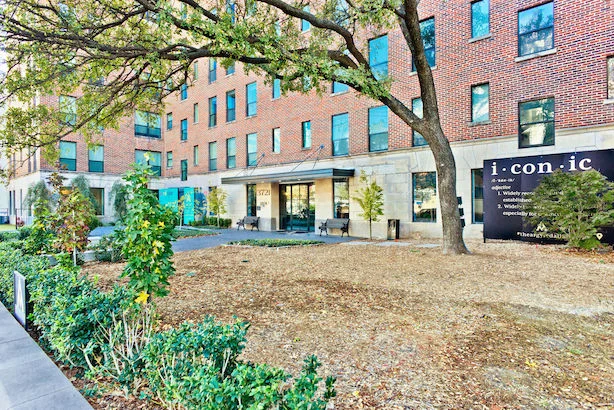 Live at Indio Live at Indio - Tree