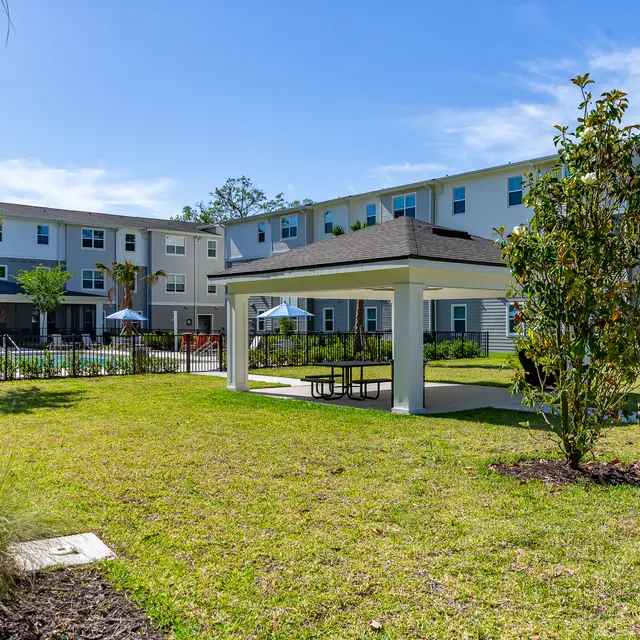 Rochester Park - Grass, Tree, Neighborhood