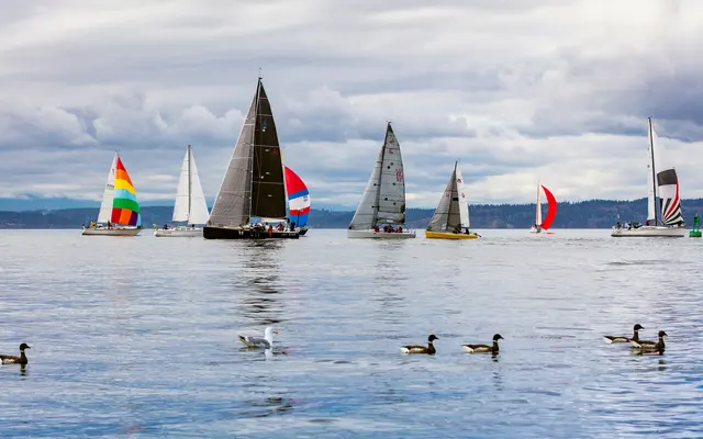 The Ballard Independent - Neighborhood Oceanside The Ballard Independent - Neighborhood Oceanside