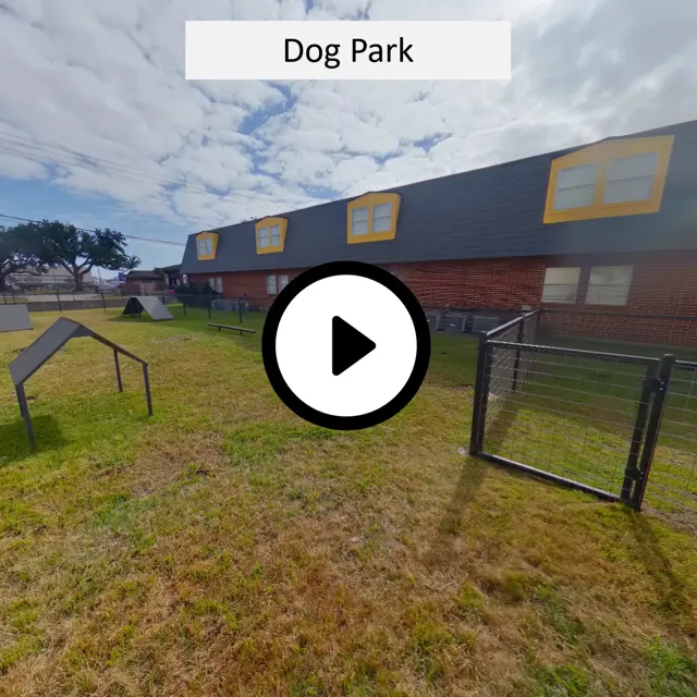 Dog Park
