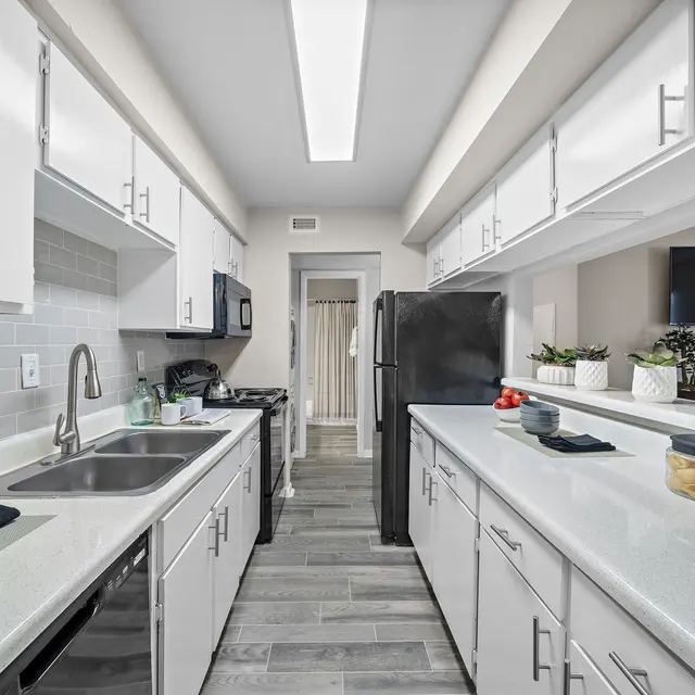 Ellis Kitchen Model A3 737 sq ft_1BD_1BA.jpg