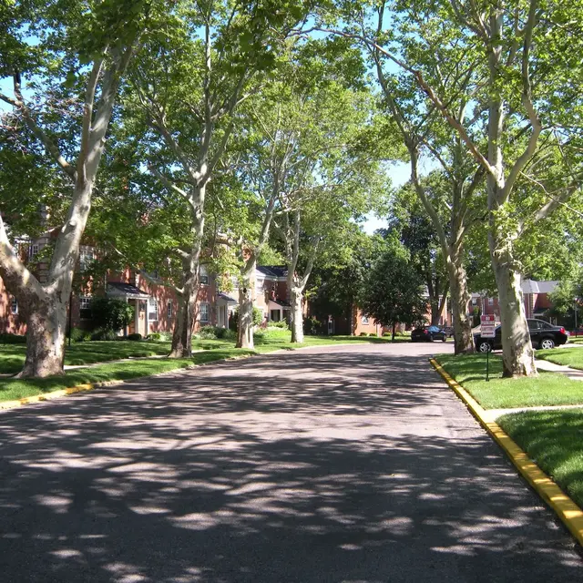 Sycamore Square Apartments - Grass, Outdoors, Park