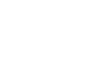 Wesley Village