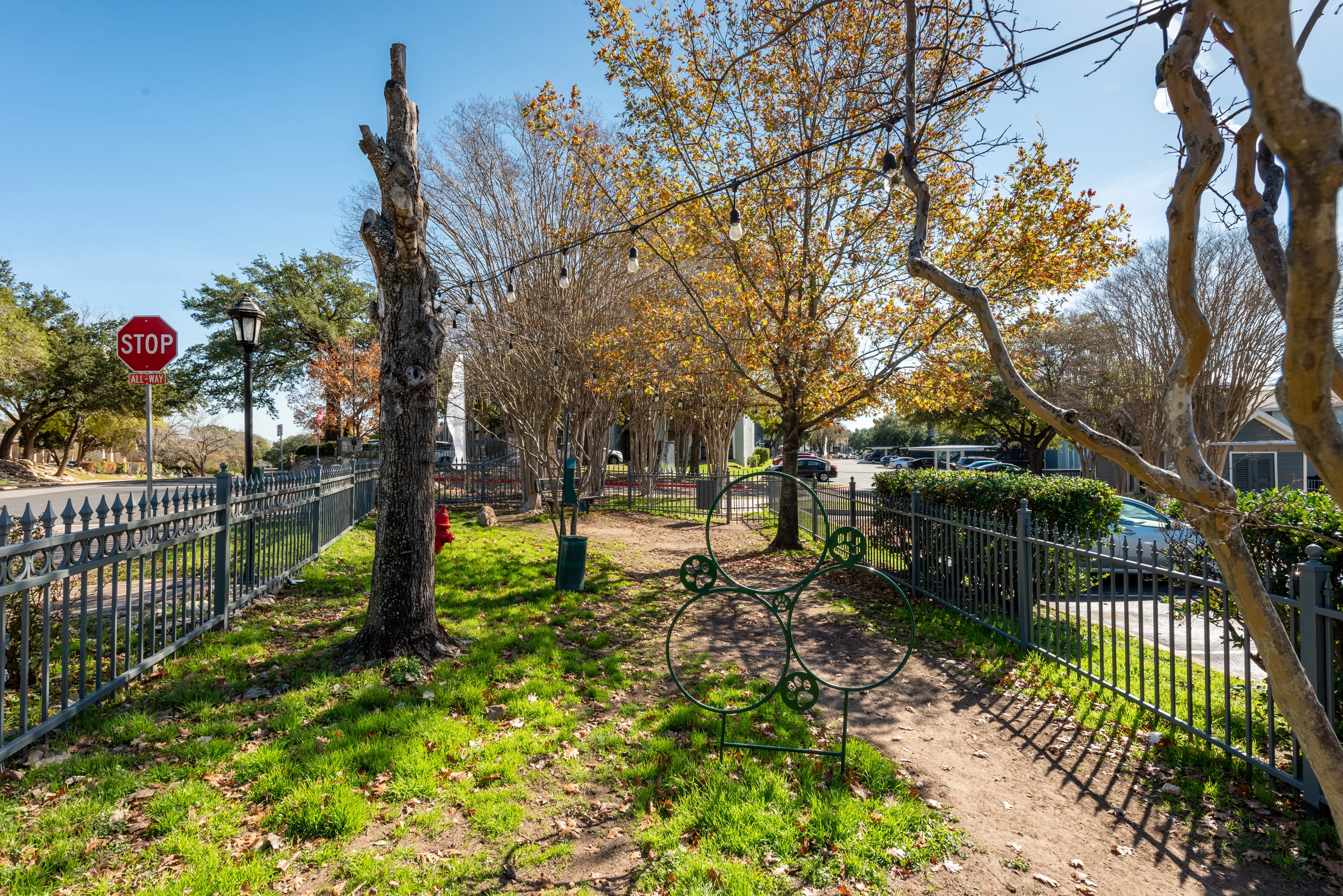 Grove at Northwest Hills - Dog Park