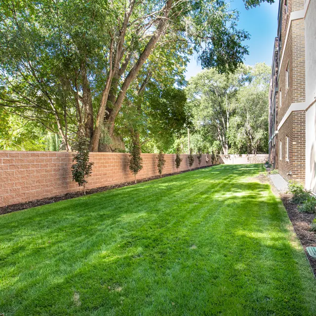 Well-maintained grassy area beside a building, lined with trees and shrubs.