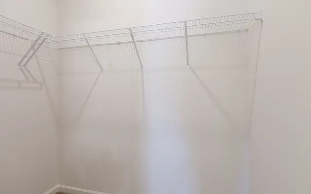 The Cape at Sandy Neck - Nature, Outdoors, Weather