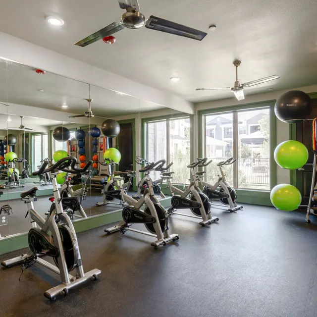 Ariza Plum Creek Ariza Plum Creek - Ceiling Fan, Fitness, Working Out