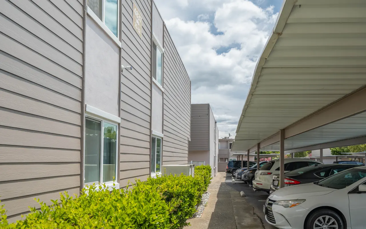 Magnolia Court Apartments - City, Street, Urban