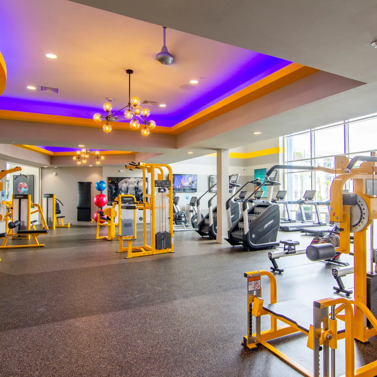24-Hour Fitness Center - The Pointe North Hills Photo of the cardio equipment and exercise machines inside the 24-Hour Fitness Center at The Pointe North Hills.