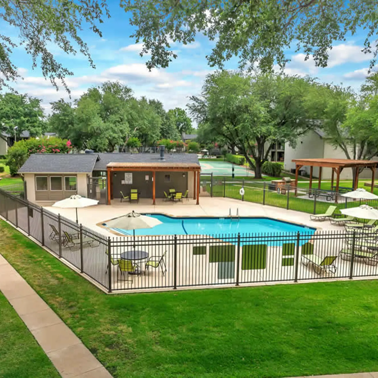 Grass, Backyard, Outdoors