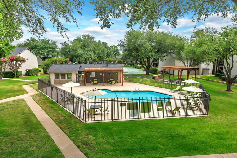 Grass, Backyard, Outdoors