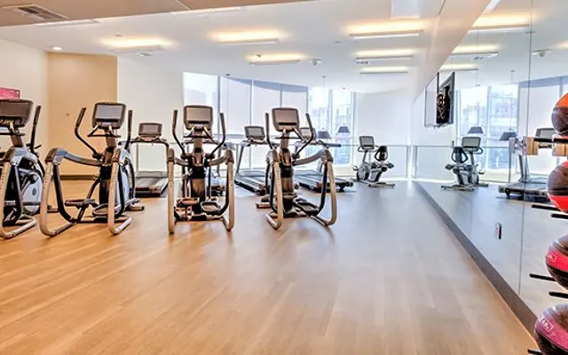 The Brand - Gym, Sport