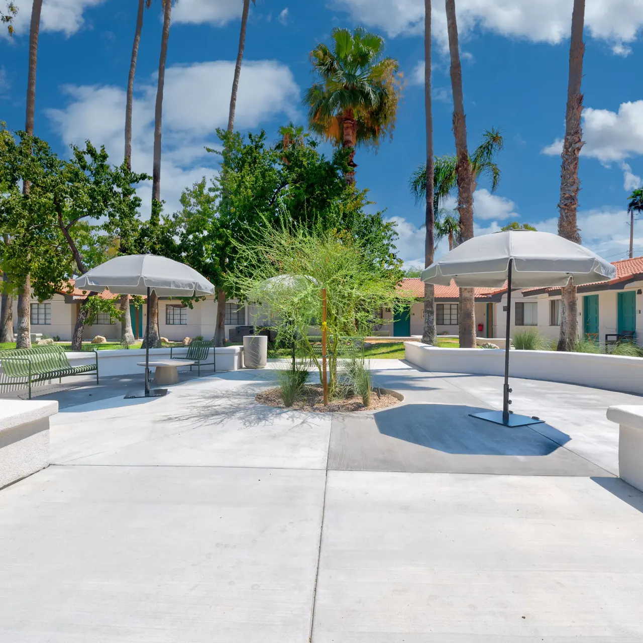 Echelon Echelon - Summer, Tree, Plant