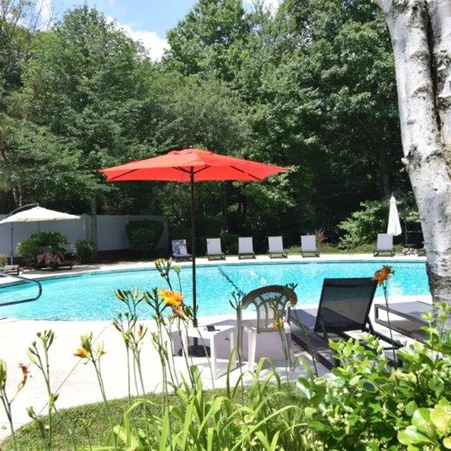 A serene swimming pool area surrounded by lush greenery and chairs, with an orange umbrella providing shade.