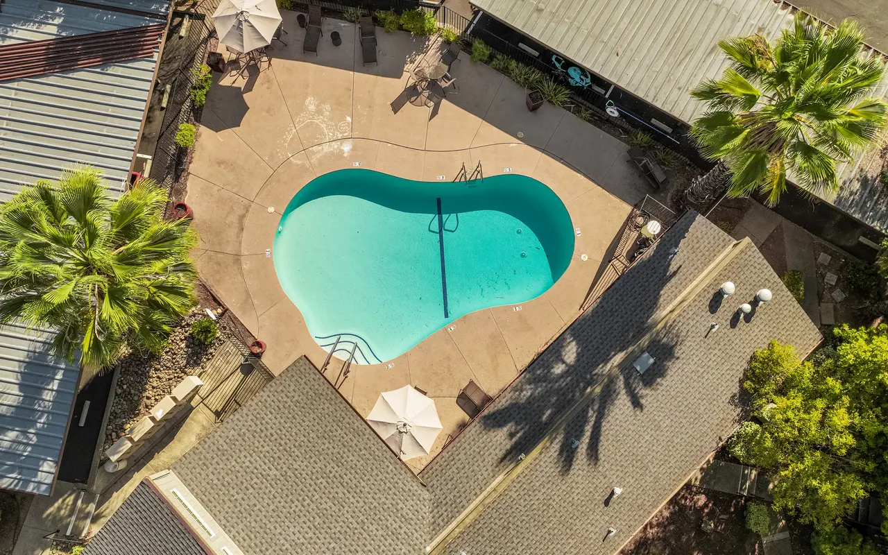Aerial view of a swimming pool surrounded by palm trees and buildings