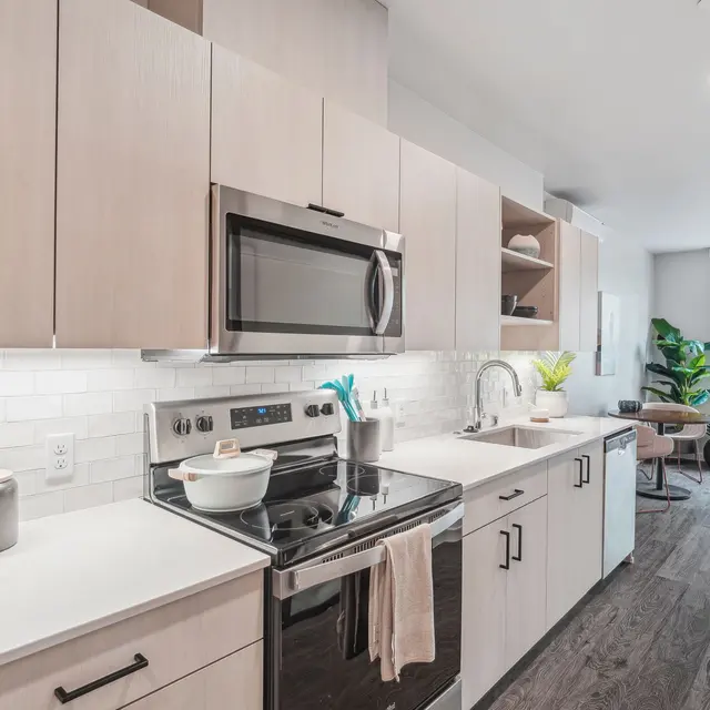 Contemporary Kitchen Interior A modern kitchen featuring light wood cabinetry, stainless steel appliances, and a white tile backsplash. There are plants and decorative items on the countertops, and a spacious area leading to a living space with a window.