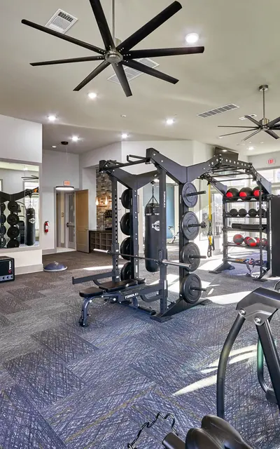 A modern gym interior featuring various exercise equipment, including weight machines, cardio machines, and free weights, under bright lighting and ceiling fans.
