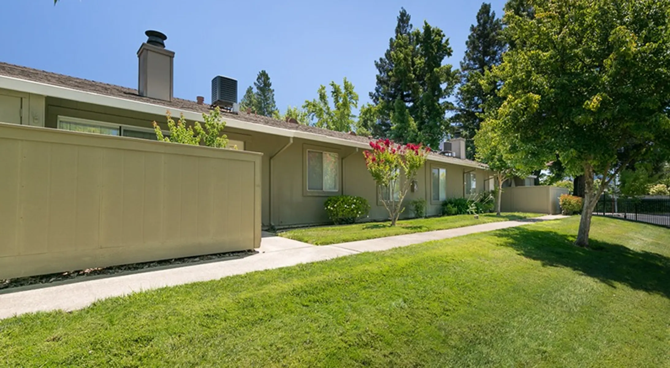 El Camino Place - Lawn