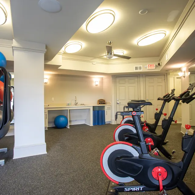 Aventine Asheville - Ceiling Fan, Device, Electrical Device