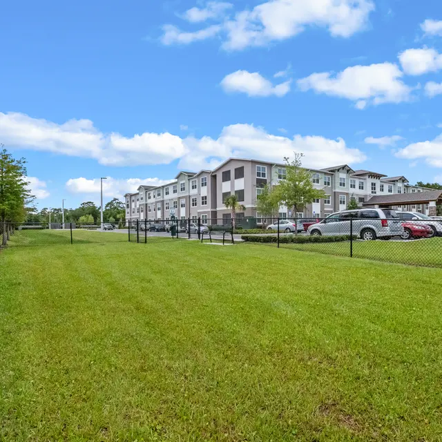 Burlington Cove - Grass, Neighborhood, City
