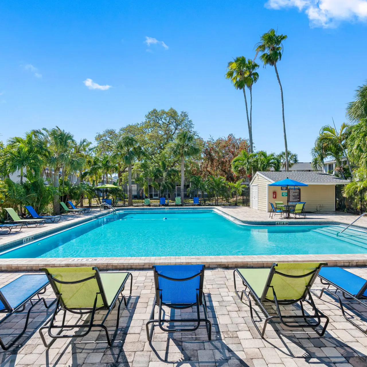large swimming pool with lounge chairs