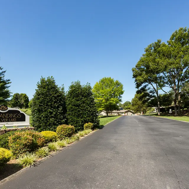 Landings on Silverlake - Tree, Plant, Tarmac