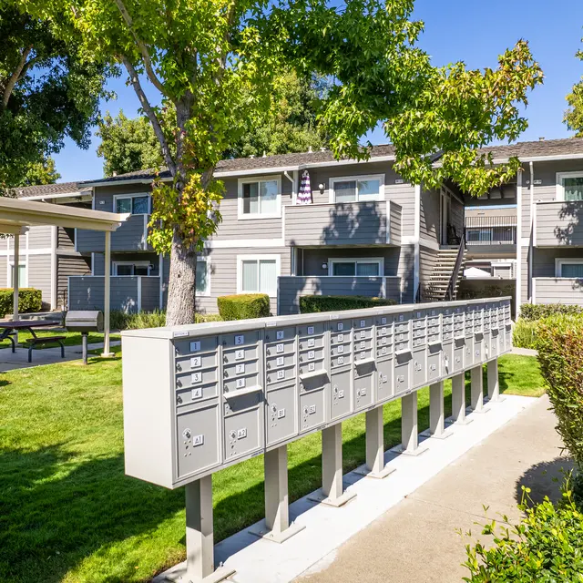 Peachwood Apartments - Neighborhood, Suburb, Bench