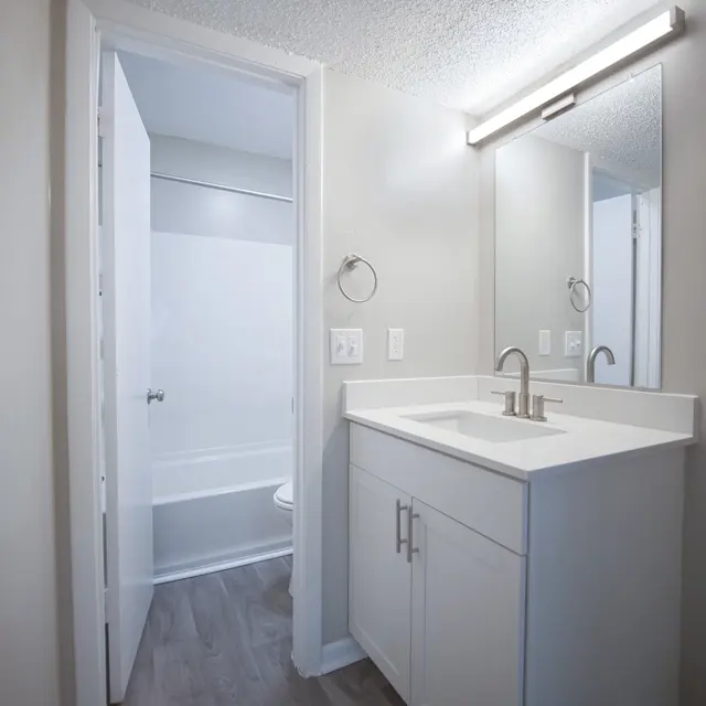 Modern bathroom featuring a white vanity with a sink, large mirror, and a bathtub visible through an open door.