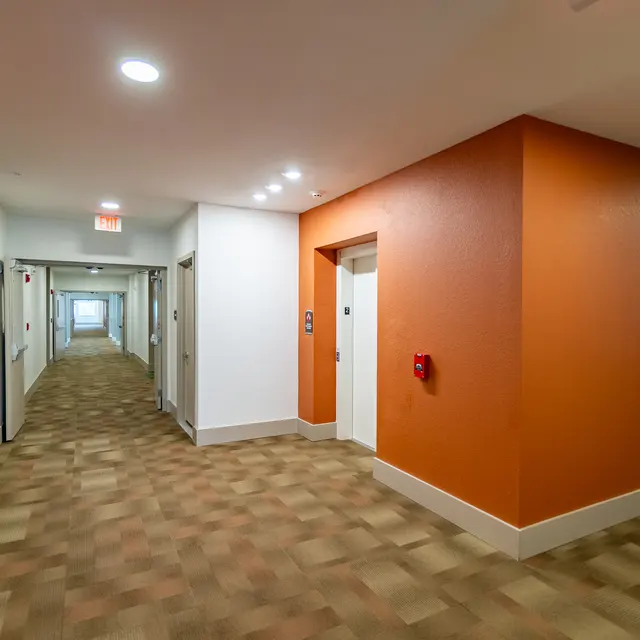 Rochester Park - Floor, Flooring, Indoors