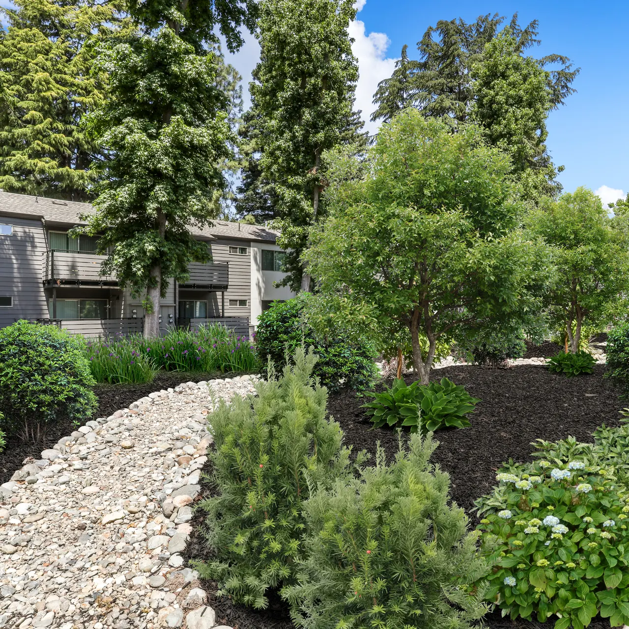 The Vineyards - Neighborhood, Path, Walkway