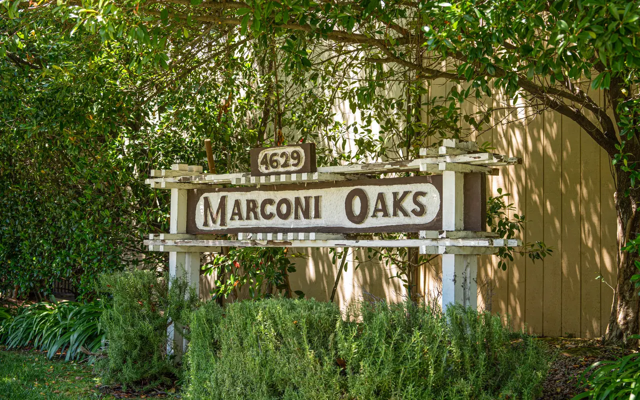 Marconi Oaks - Garden, Nature, Outdoors