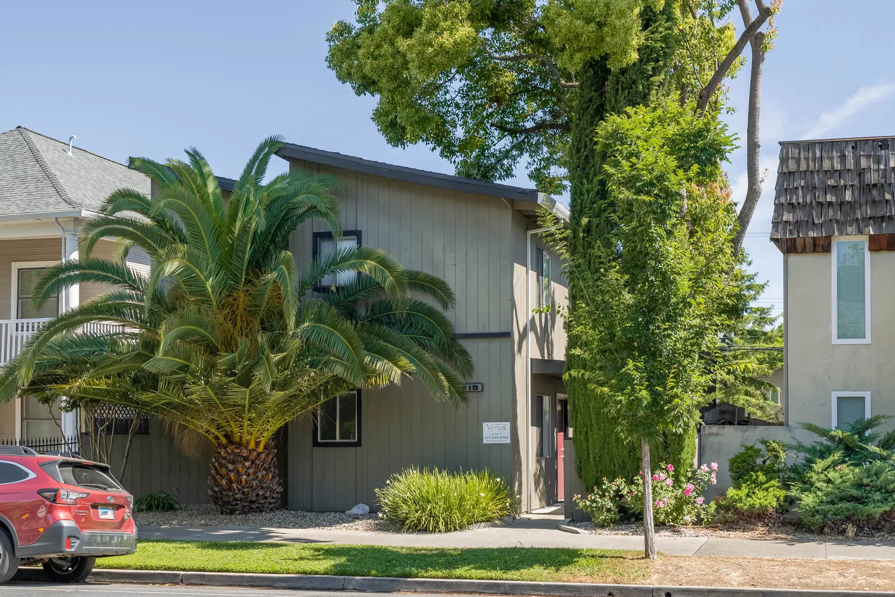 P Street Apartments - Neighborhood, Tree, Shelter