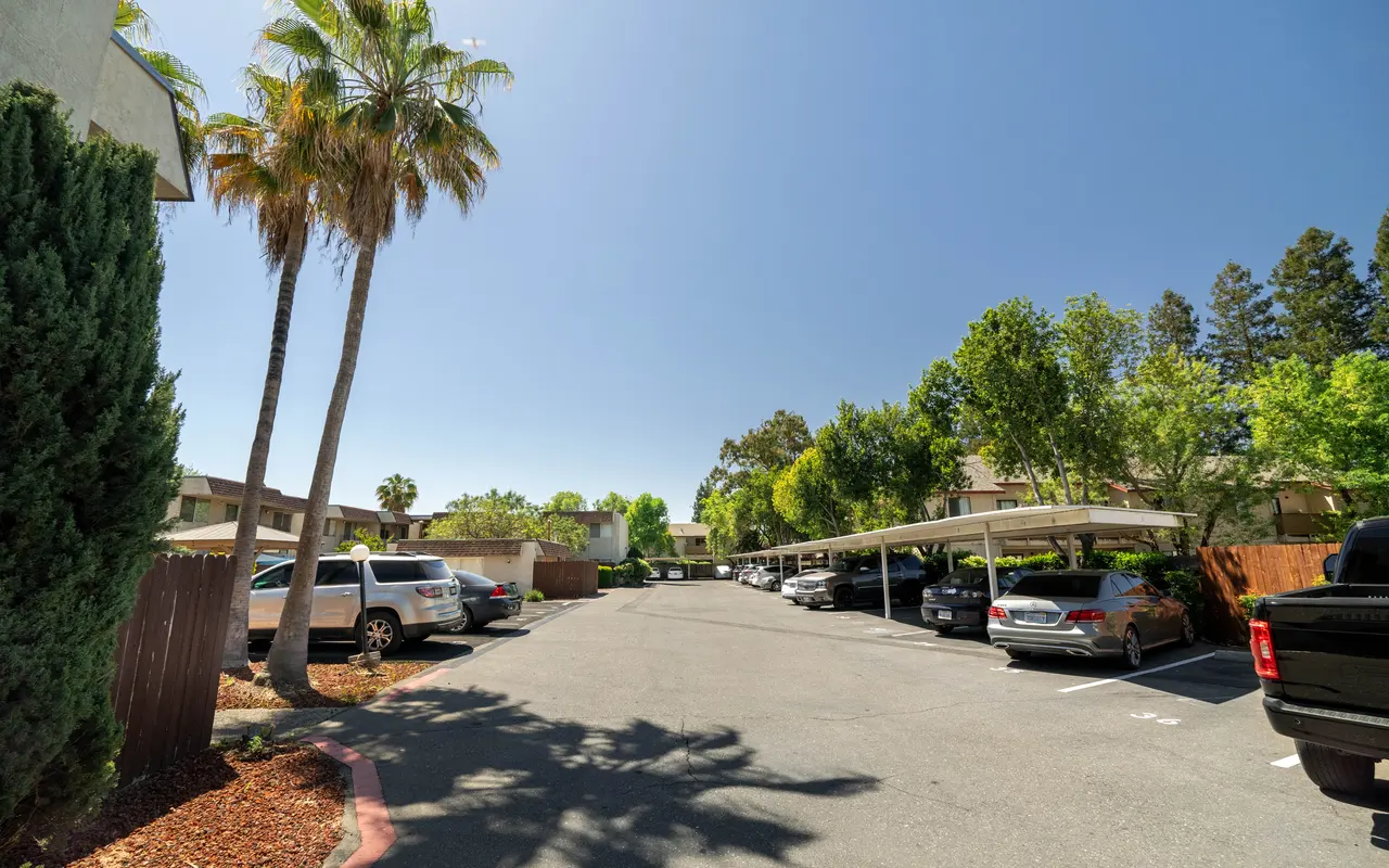 Cottage Square - Tree, City, Road