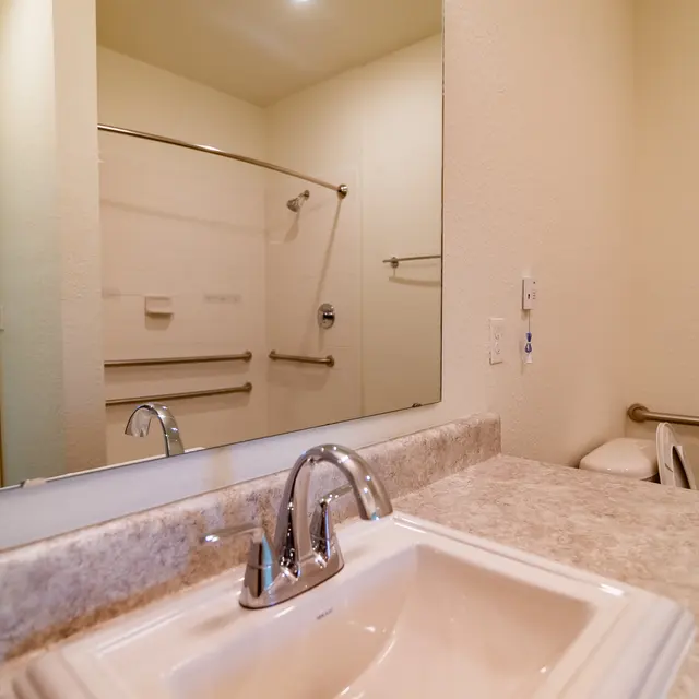 Rochester Park - Sink, Sink Faucet