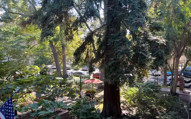 Terraces at Capitol Park - Tree, Grove, Land