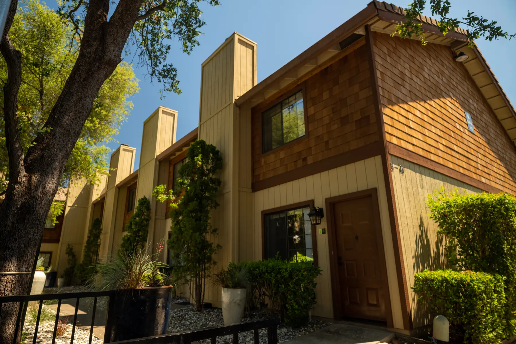 Cedar Court - Door, Tree