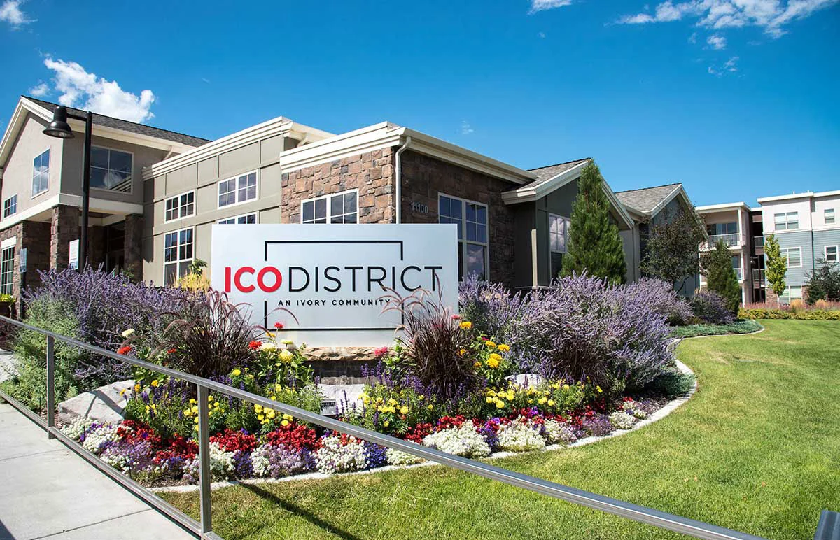 ICO District - Grass, Neighborhood, Vegetation
