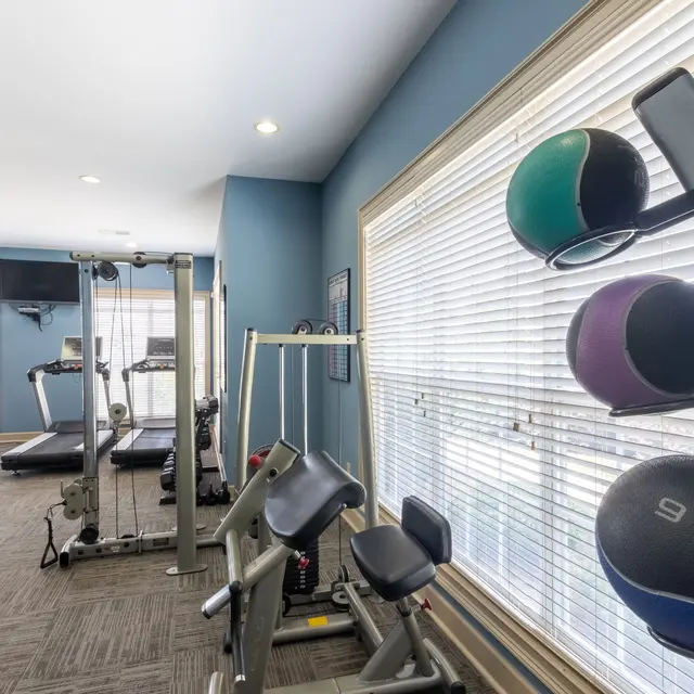 Summer Lake Summer Lake - Fitness, Working Out, Sport