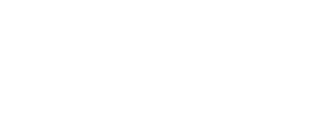 Holland Partner Group Holland Partner Group